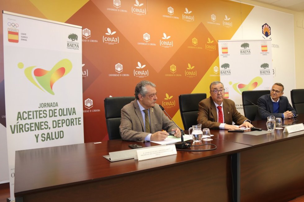 (Desde Izda.) Javier Alcalá, Antonio Arenas Y Manuel Rich, En La Presentación De La Jornada.