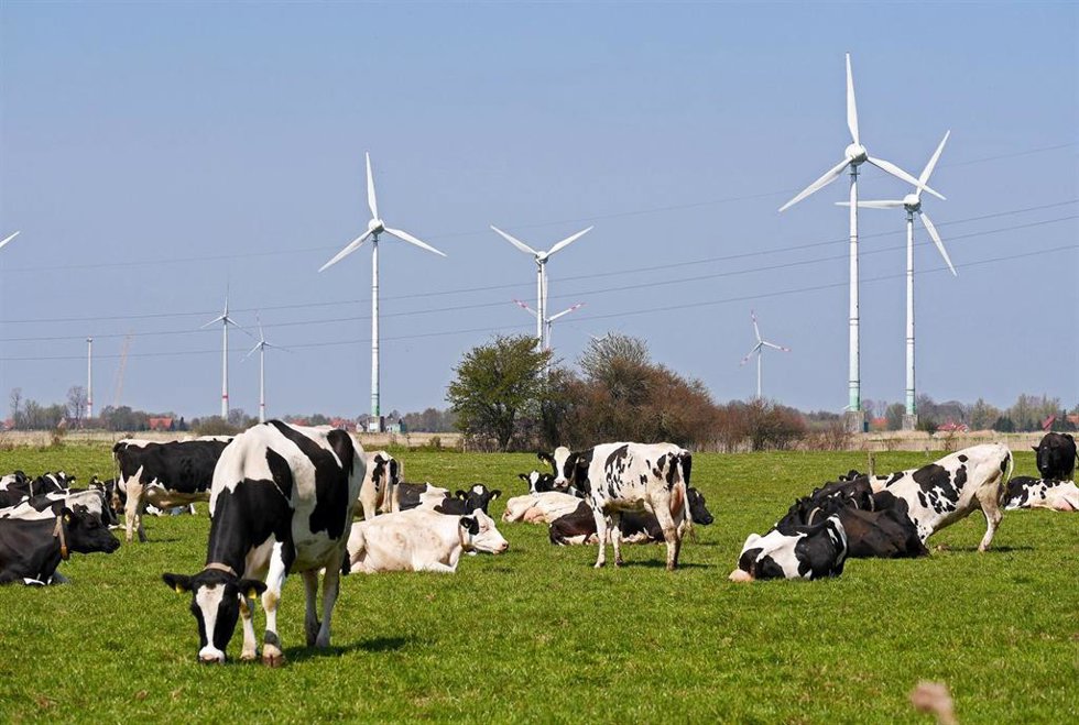 Archivo - La AEE considera que la propuesta del mercado eléctrico de la Comisión Europea va "en el buen camino".