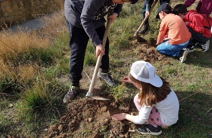 Un proyecto educativo ayuda a reforestar el monte tras el incendio del Alto Palancia (Castellón)