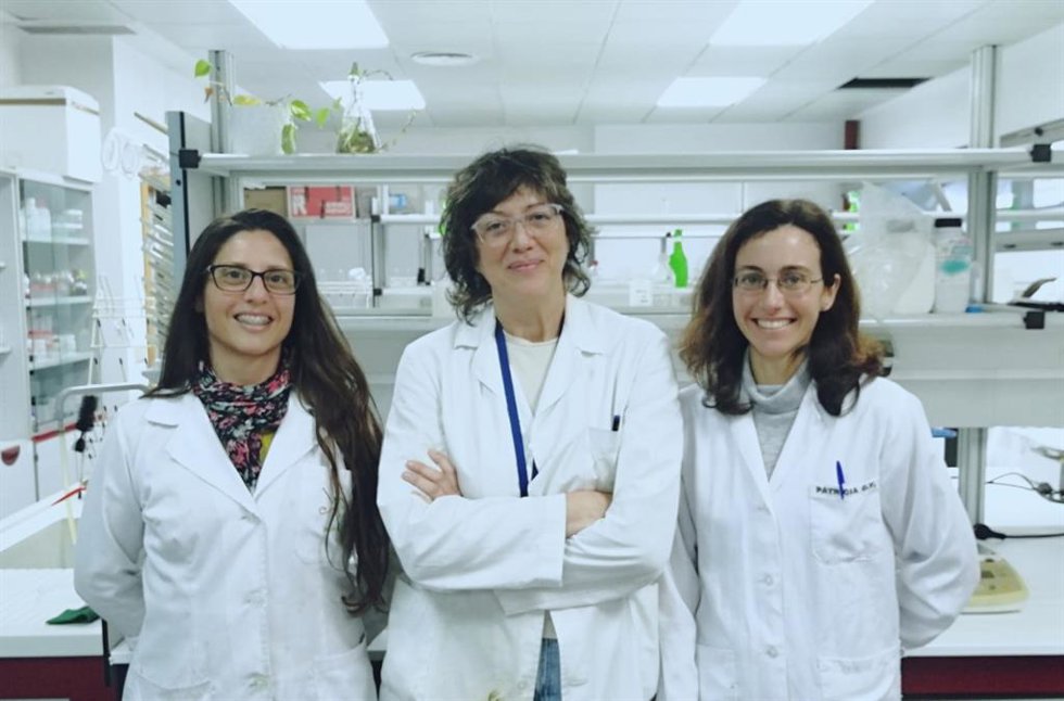 Las tres investigadoras de la Universidad de Huelva.