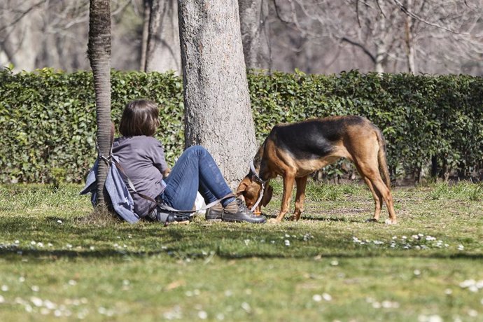Una mujer junto a un perro en el Parque del Retiro, a 11 de marzo de 2023, en Madrid (España). La masa de aire de este fin de semana sobre España procede del océano Atlántico de latitudes inferiores a los 30N. Esta masa de aire cálida, unida a las alta