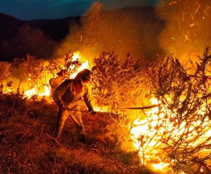 Archivo - Labores extinción incendios forestales en Cantabria