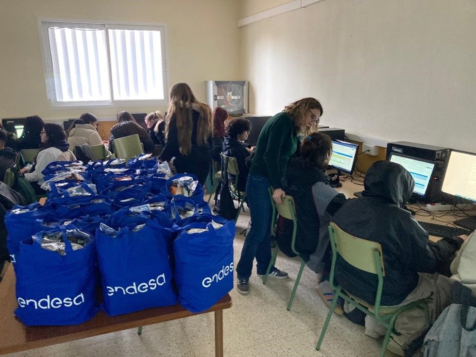 Alumnos del IES Macabich de Ibiza en una formación de Endesa