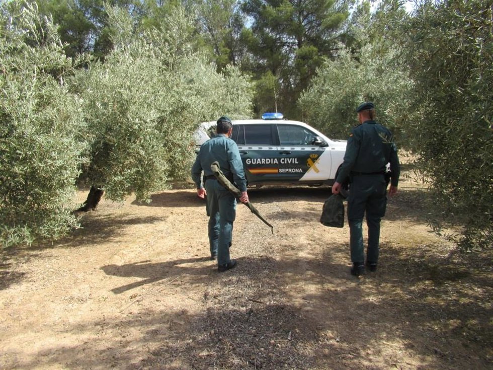 Agentes del Seprona.