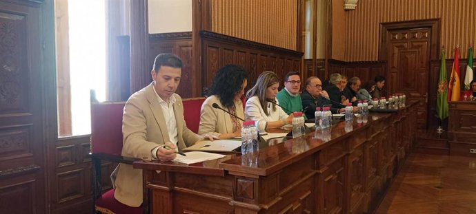 Archivo - Ruiz (1i), en un pleno de la Diputación.