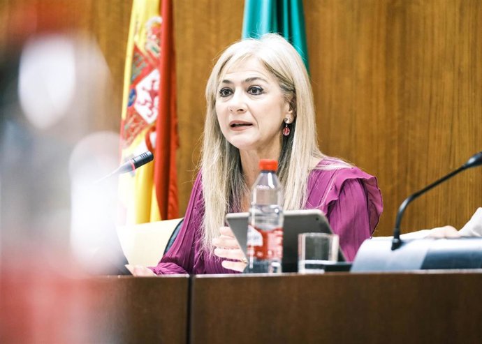 La consejera de Desarrollo Educativo y Formación Profesional, Patricia del Pozo, en comisión parlamentaria