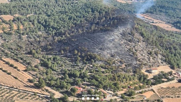 Imatge de l'incendi