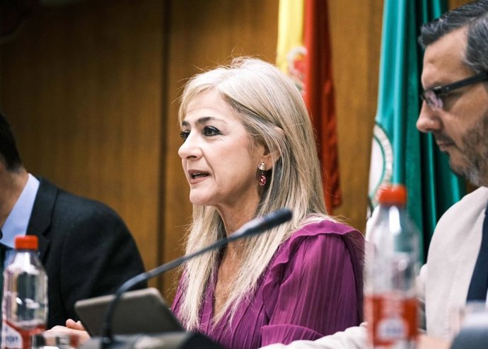 La consejera de Desarrollo Educativo y Formación Profesional, Patricia del Pozo, en Comisión Parlamentaria.