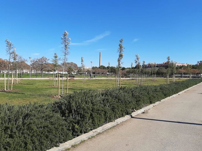 Archivo - Parque de Son Parera.