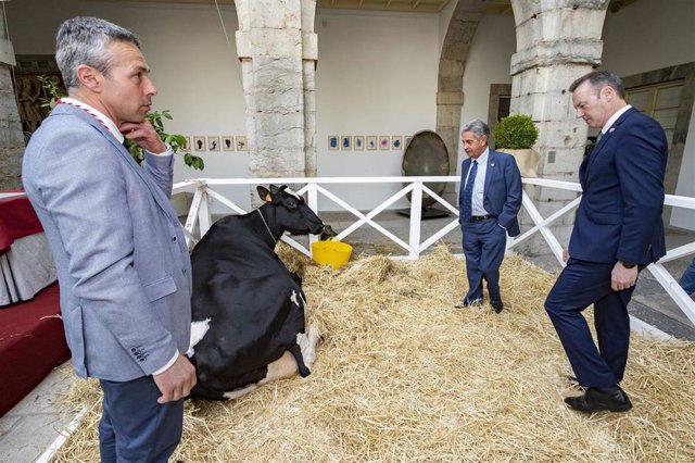La vaca Llinde Ariel Jordan, protagonista del acto de entrega de la Medalla de Plata de Cantabria a la empresa ganadera SAT Ceceño.