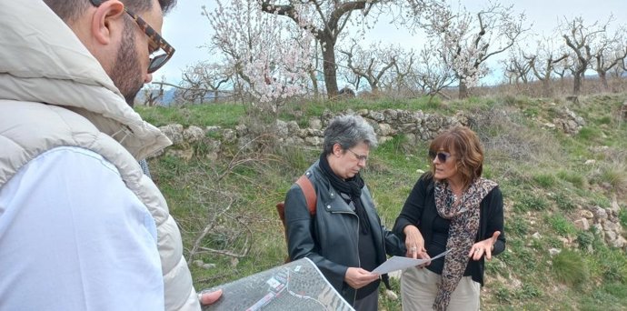 La directora general de Patrimonio Cultural del Gobierno de Aragón, Marisancho Menjón, durante su visita al yacimiento de Labitolosa.