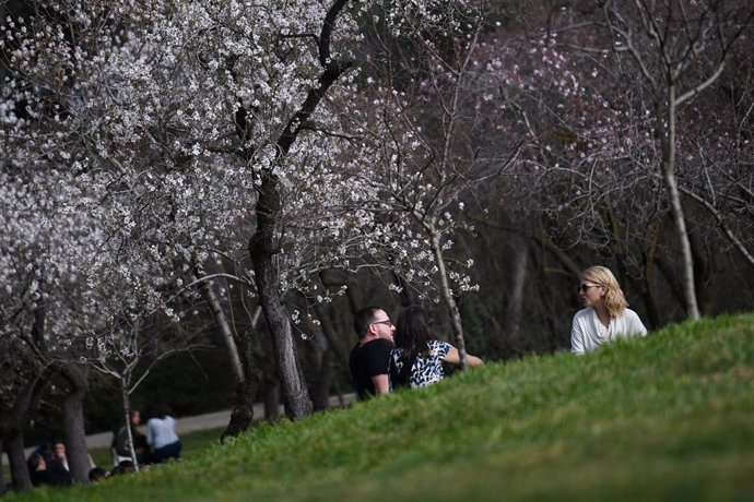 Árboles almendros en flor en el parque la Quinta de los Molinos, a 18 de febrero de 2023, en Madrid (España). 