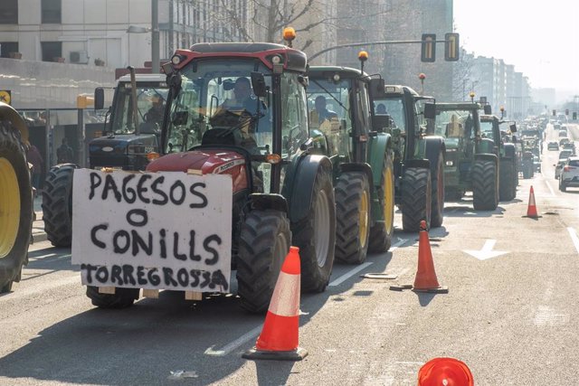 Decenas de tractores participan en una protesta convocada por sindicatos agrarios para pedir medidas contra la plaga de conejos, a 3 de marzo de 2023, en Lleida, Catalunya (España). Agricultores agrupados en la plataforma ‘Pagesos o conills’, han convocad