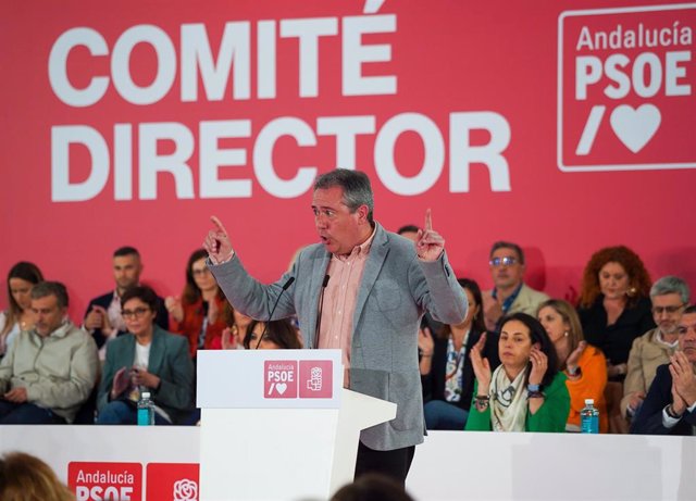 El secretario general del PSOE-A, Juan Espadas, interviene ante el Comité Director del PSOE-A este viernes.