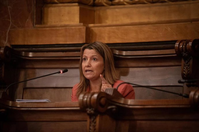 Archivo - Parera en un Pleno municipal