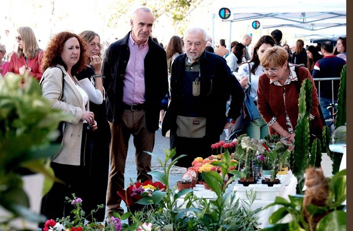 El alcalde de Sevilla, Antonio Muñoz