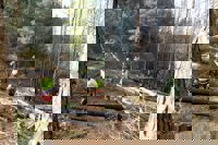 La Junta subraya que "por primera vez" dedica más dinero a prevenir que a extinguir incendios forestales