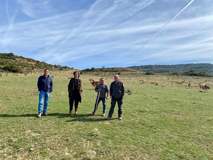 Ignacio Gil, Itziar Gómez, Pedro Berrade y Rubén Sánchez