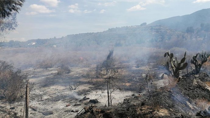 Terreno agrícola en el que se ha declarado el incendio