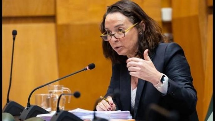 La concejal del grupo municipal de VOX en el Ayuntamiento de Zaragoza, Carmen Rouco