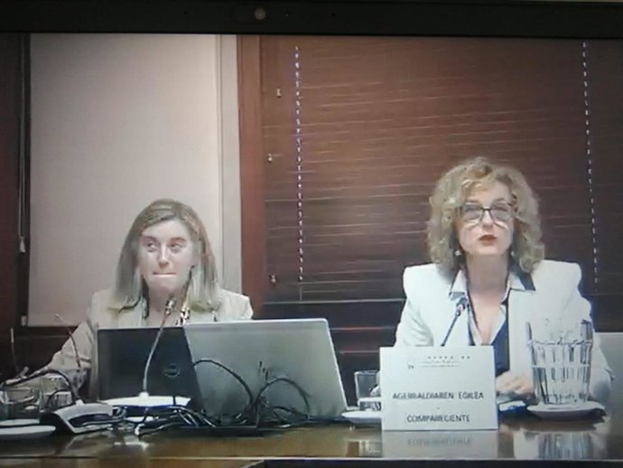 Basterra y González durante su comparecencia ante las JJGG de Álava