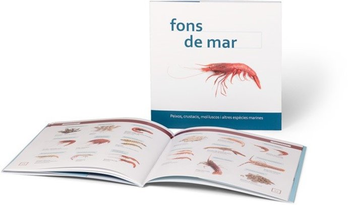 Vocabulari 'Fons de mar'
