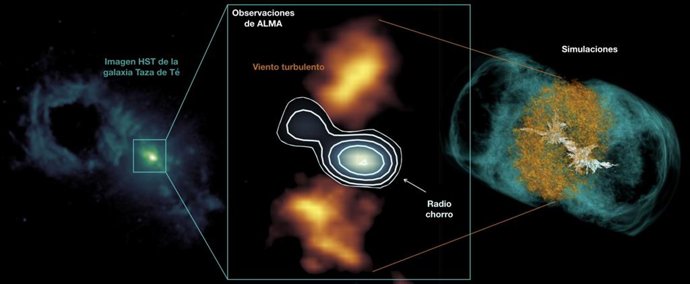 Un radio jet compacto en el centro de la galaxia Taza de Té produce un viento turbulento lateral en el gas frío, tal y como predicen las simulaciones