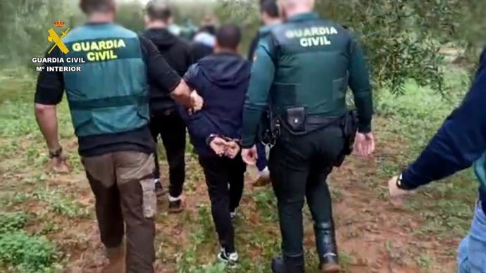 Agentes de la Guardia Civil actuando en una finca de naranjas en la provincia de Sevilla.