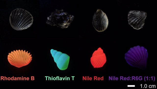 Fotografías de vidrio de campo oscuro (superior) y fluorescente (inferior) vaciado con moldes comerciales.