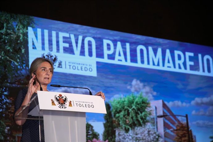 Presentación del plan Nuevo Palomarejos.