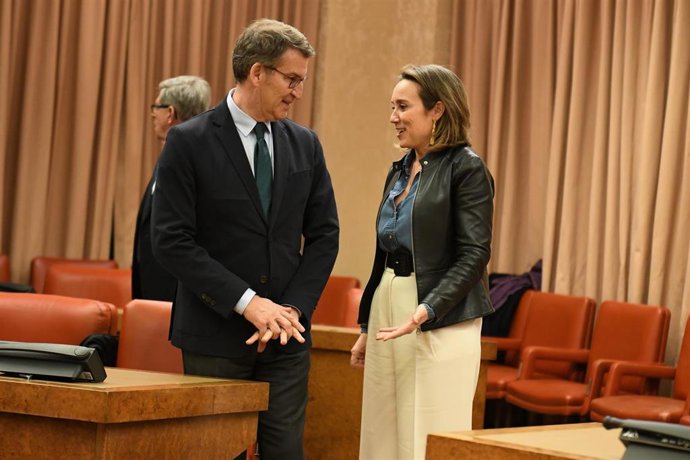 Archivo - El presidente del Partido Popular, Alberto Núñez Feijóo, y la secretaria general del Partido Popular, Cuca Gamarra,  durante la clausura de la jornada parlamentaria Garantías del Estado de Derecho, en el Congreso de los Diputados, a 23 de en
