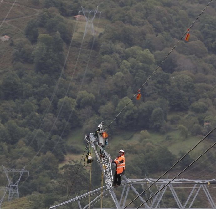 Red Eléctrica señalizará las líneas en zonas de vuelo del quebrantahuesos en España para proteger esta especie amenazada