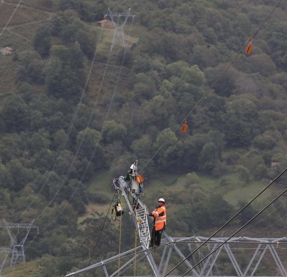 Red Eléctrica señalizará las líneas en zonas de vuelo del quebrantahuesos en España para proteger esta especie amenazada