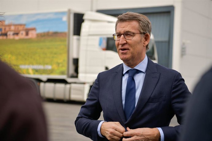 El presidente del PP, Alberto Núñez Feijóo.