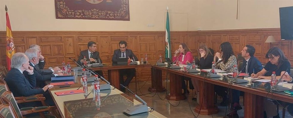 Comisión mixta TSJA.