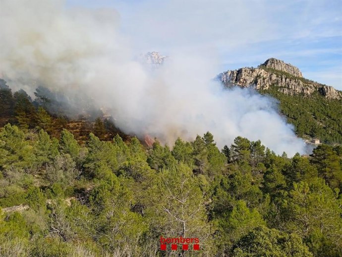 Els Bombers en l'incendi a Paüls (Tarragona)