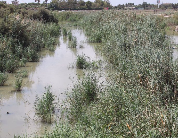 Archivo - Terreno inundado