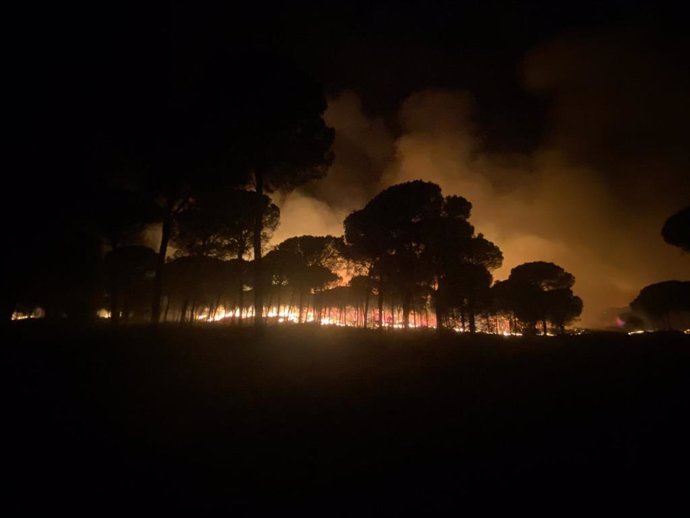 Archivo - Imagen del incendio de Almonte (Huelva) del pasado verano.