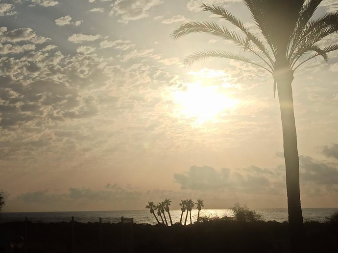 Archivo - Clarejar en una platja de Canet en imatge d'arxiu