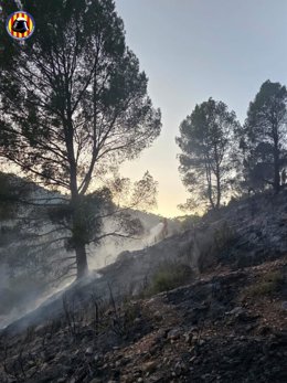 Incendio de vegetación