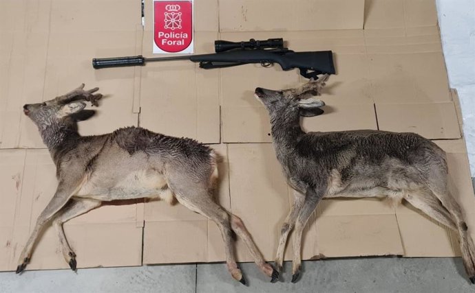 Imagen del rifle, silenciador, visor y corzos incautados