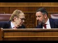 El Congreso tumba la moción de Tamames, que sólo suma el voto afirmativo de Vox y el de un exdiputado de Cs