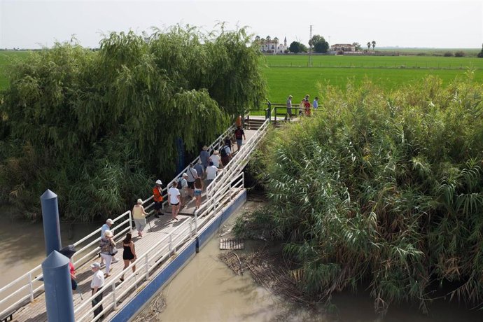 Archivo - Cruceristas caminan por el pantalán o embarcadero flotante del paraje Isla Mínima de Escobar, perteneciente a La Puebla del Río, en una foto de archivo.