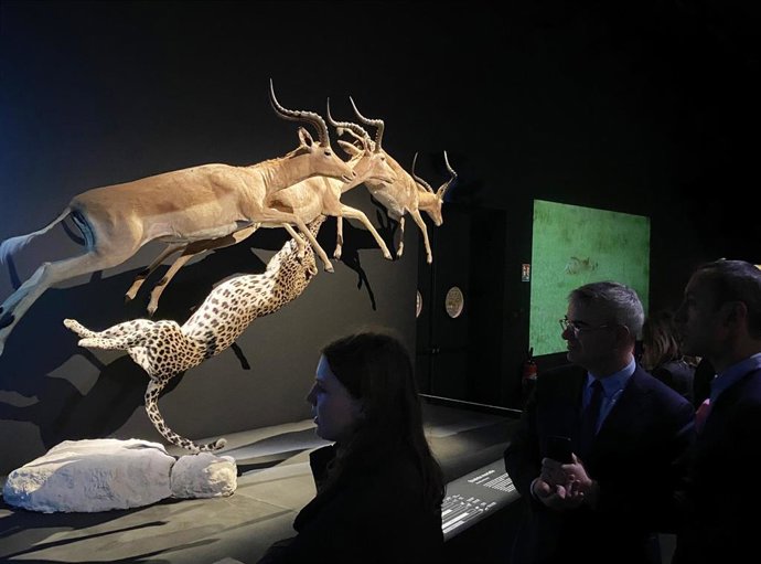 Escena de la exposición 'WOW' del Parque de las Ciencias de Granada