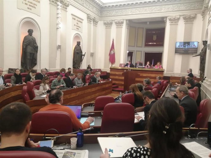 Archivo - Pleno en las Juntas Generales de Álava