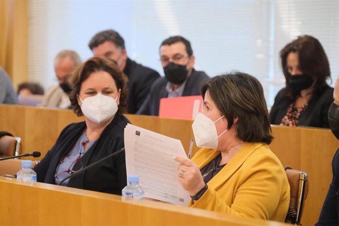 Archivo - Asunción Llamas, en un Pleno de la Diputación, en una foto de archivo.