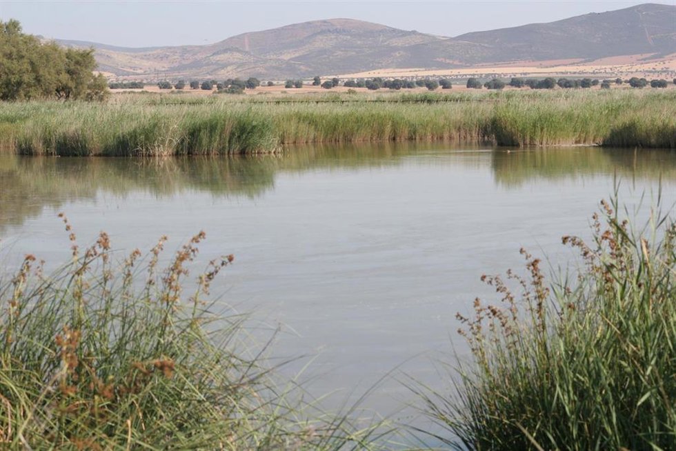 Archivo - Parque Nacional de Las Tablas de Daimiel, Ciudad Real
