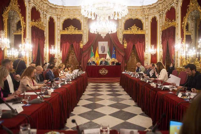 Pleno de la Diputación del mes de marzo.
