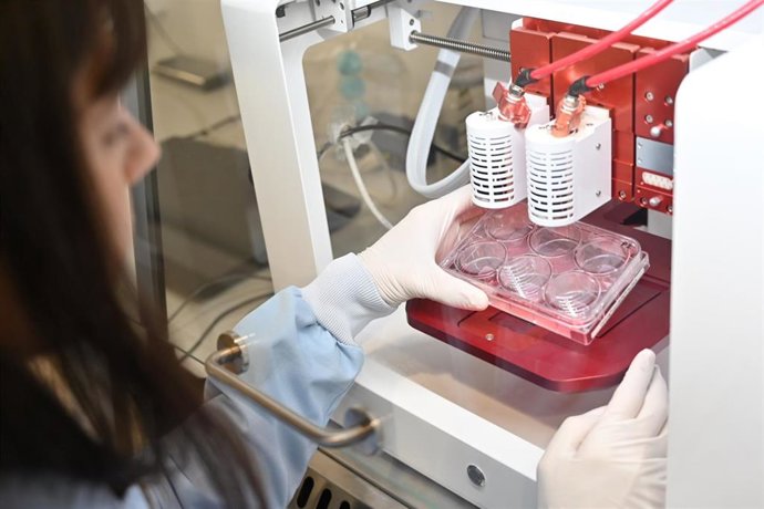 Archivo - Agricultura.- Ania investiga las tecnologías para producir carne cultivada a escala industrial