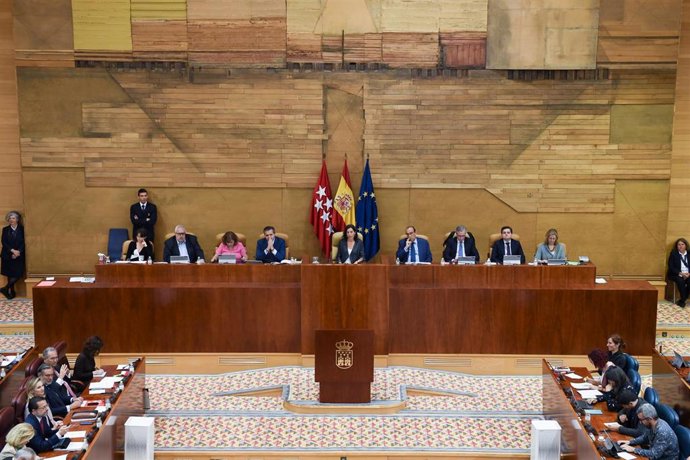 Archivo - La presidenta de la Asamblea de Madrid, Eugenia Carballedo (c), preside el pleno en la Asamblea de Madrid, a 20 de octubre de 2022, en Madrid (España). El Pleno de la Asamblea de Madrid centra su debate en la reapertura de los Servicios de Urg
